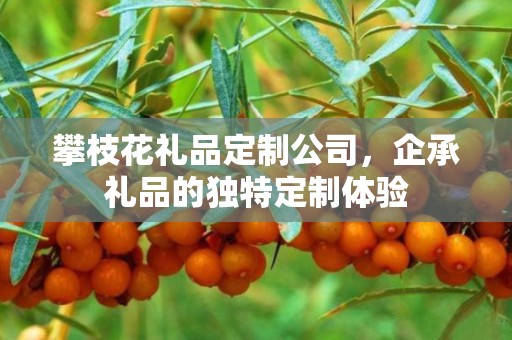 攀枝花礼品定制公司，企承礼品的独特定制体验
